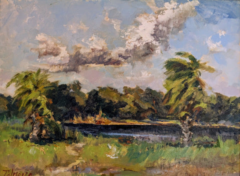 Myakka Inlet