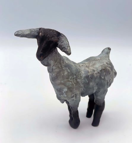 Tiny Goat
