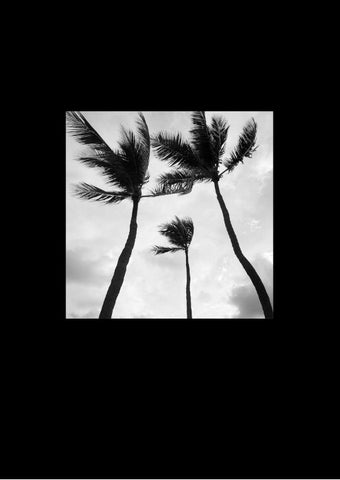 Tiny Tall Trees (No. 21)