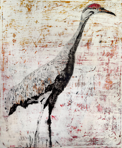 Sandhill Crane