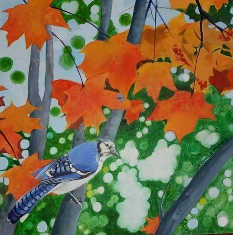 Blue Jay in Red Maple