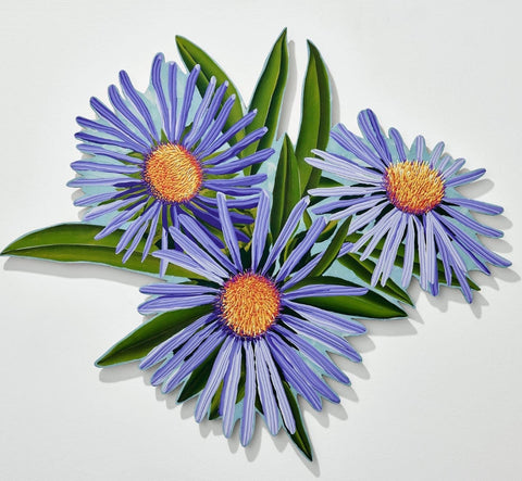 New England Aster