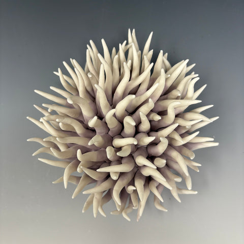 Purple Anemone 1