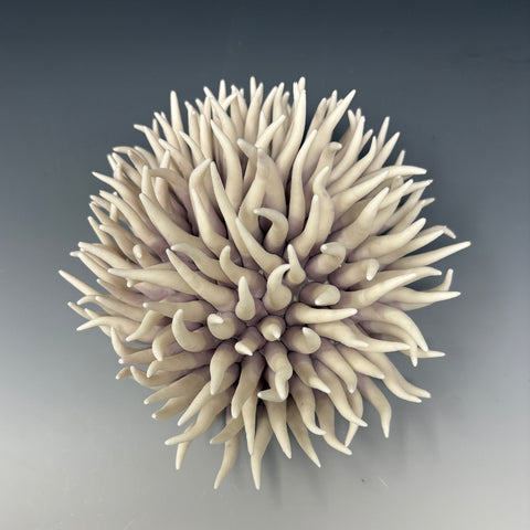 Purple Anemone 2