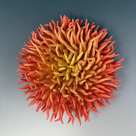 Orange Anemone