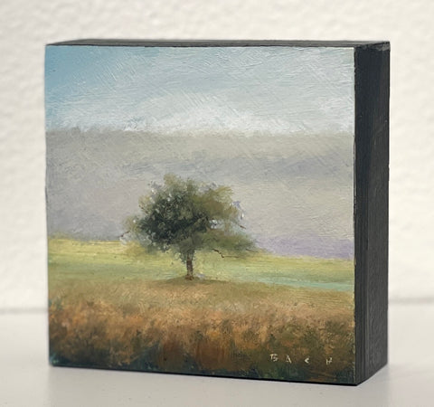 Solitary Tree