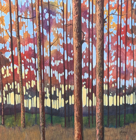 Sunset Pines