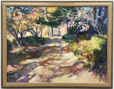 A Path of Filtered Light and Shadows