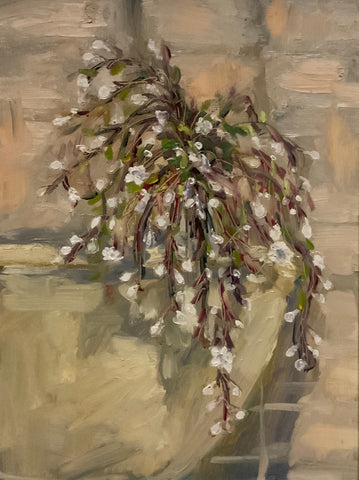 Light Bulb Clerodendrum