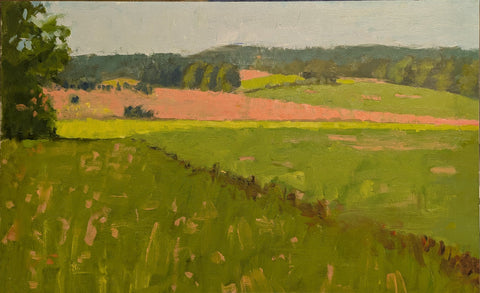 Fields behind Thoreson Farm