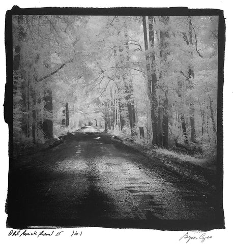 Old Brick Road II