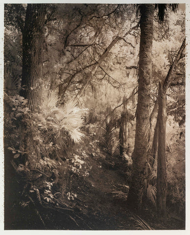 Quarry Trail II