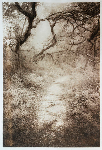 Quarry Trail III