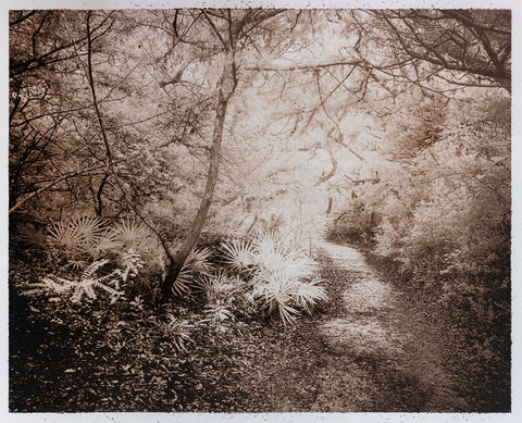 Quarry Trail V