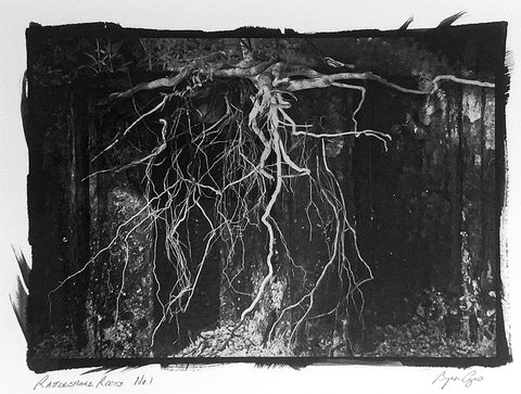 Rattlesnake Roots