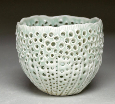 Aqua Sea Urchin