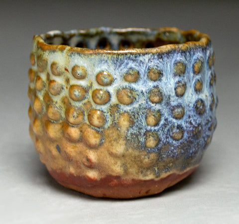 Sea Urchin in Brown and Blue