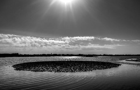 Living in the Sunlight of the Spirit