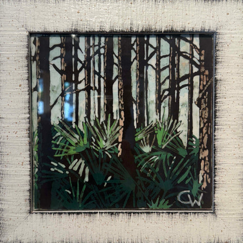 Palmettos in Pines