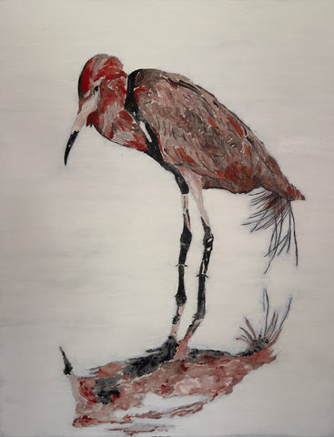 Tricolor Heron I