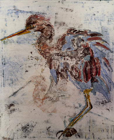 Tricolor Heron II