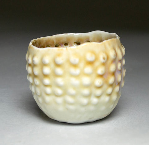 Golden Sea Urchin