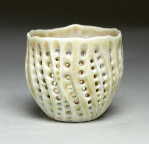 Small Golden Sea Urchin