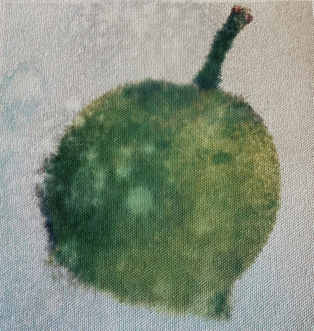 Green Passion Fruit