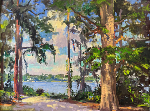 Lake Maitland View at Kraft Azalea
