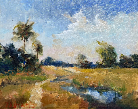 Everglades