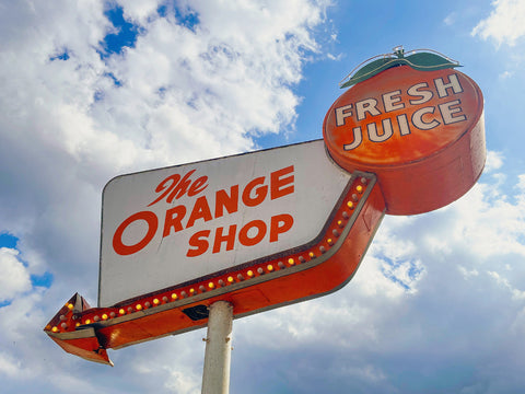 Untitled (Citra, FL)