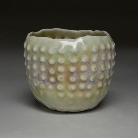 Sea Urchin with Dots