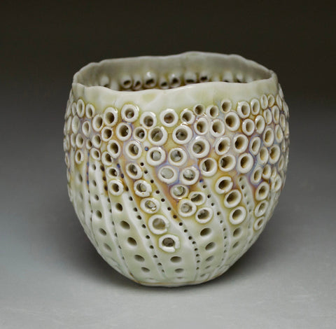 Sea Urchin Sea Shell