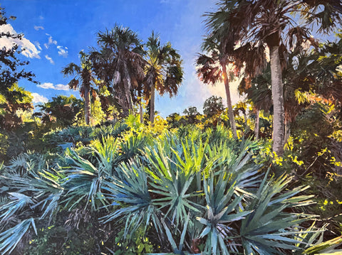 Palms at Dunes Park, New Smyrna Beach 2026
