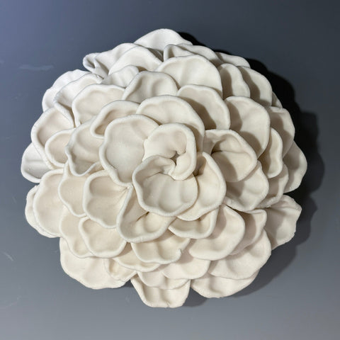 Nature Study Series 2