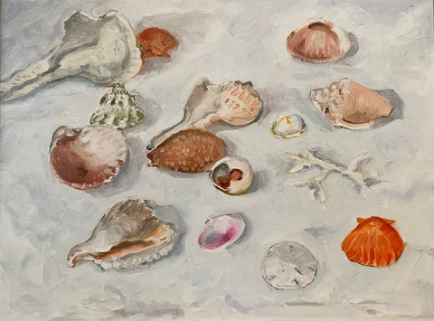 Seashells