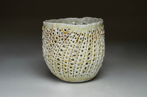 Sea Shell Luminary