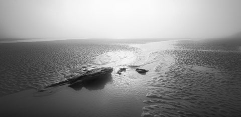 Silent Shores V