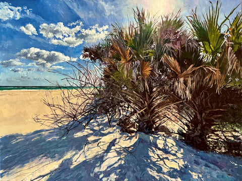Palm Shadows, New Smyrna Beach